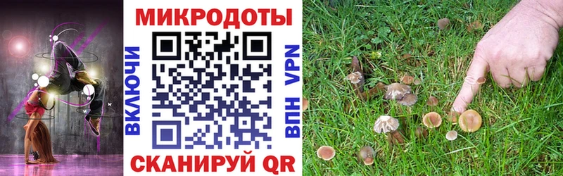 Галлюциногенные грибы прущие грибы  купить наркоту  Богородск 